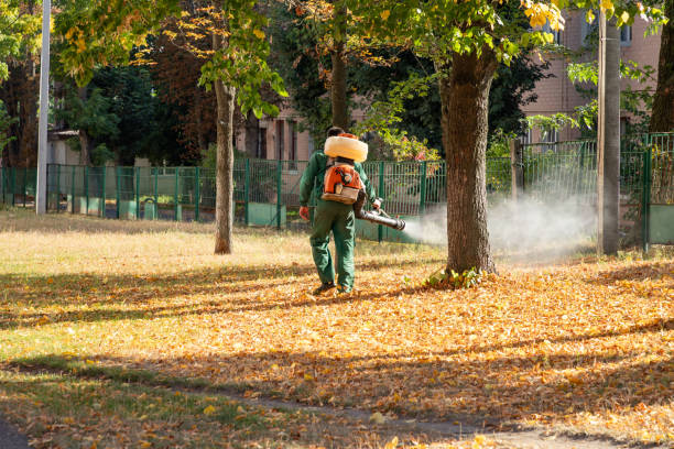 Best Mosquito Control Services  in Mcmillin, WA