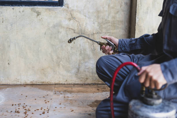 Best Wasp Removal Services  in Mcmillin, WA