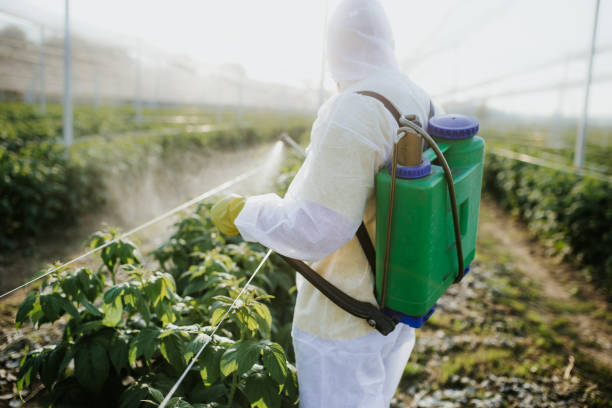 Best Ant Control Services  in Mcmillin, WA